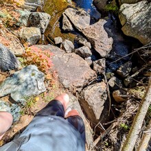 Kyra Powell - Algonquin Highland Backpacking Trail (ON, Canada)