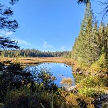 Kyra Powell - Algonquin Highland Backpacking Trail (ON, Canada)