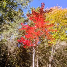 Kyra Powell - Algonquin Highland Backpacking Trail (ON, Canada)