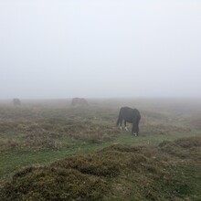 Liam Glen - Rownd Mynydd Du (Black Mountains Round) (United Kingdom)