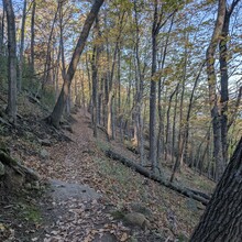 Zach Brown - Upper Mississippi Bluff-to-Bluff (MN, WI)