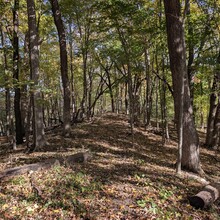 Zach Brown - Upper Mississippi Bluff-to-Bluff (MN, WI)