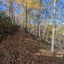Zach Brown - Upper Mississippi Bluff-to-Bluff (MN, WI)