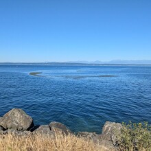 Sam Schmidt - Seattle Olmsted 50k