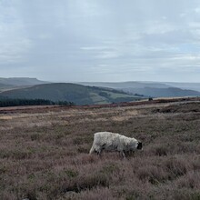 Aaron Clark-Ginsberg - Peak Divide - Manchester to Sheffield via Edale