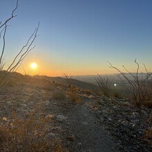 Emma Brody - Rabbit Peak (CA)