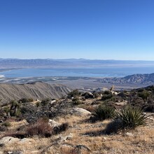 Emma Brody - Rabbit Peak (CA)