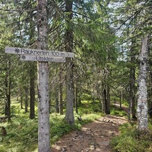 Ole Engen - Tårntur Åsleia - Hauerseter