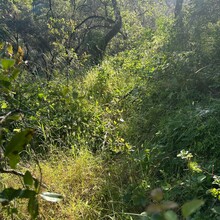 Roland Banas - Folsom Lake Perimeter (trail) (CA)