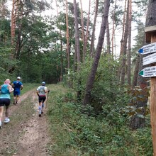 Patrycja Bereznowska - Zielony Szlak Puszczy Kampinoskiej (Północny - Krawędziowy, Poland)