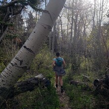 Julie Tertin, Dustin Sandquist - Crest Trail #130 (Sandia Mtns, NM)