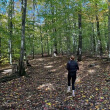 André Lafortune, Roxanne Poney - Haut Lieu Rigaud (QC, Canada)