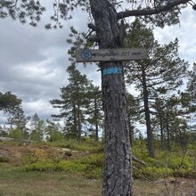Randi Aalgaard - Nordmarka High Five (Norway)