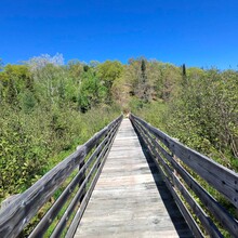 Stephen Sensoli - High Country Pathway (MI)