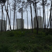 Robert Hajnal - El Camino Portugués - Costal Route (Portugal)