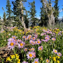 Joey Nadeau - Rendezvous Ridge Traverse