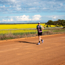 Pippin Hay - Geraldton to Mingenew
