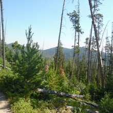 Josh Wright - Limekiln Loop (MT)