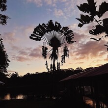 Sam Charlebois - El Camino de Costa Rica (Costa Rica)