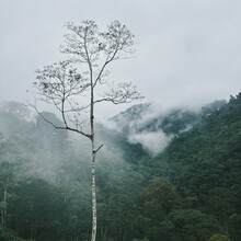 Sam Charlebois - El Camino de Costa Rica (Costa Rica)