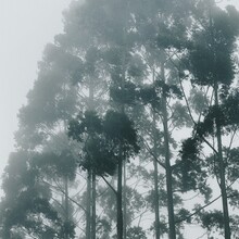 Sam Charlebois - El Camino de Costa Rica (Costa Rica)