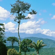 Sam Charlebois - El Camino de Costa Rica (Costa Rica)