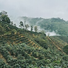 Sam Charlebois - El Camino de Costa Rica (Costa Rica)