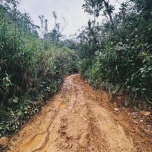 Sam Charlebois - El Camino de Costa Rica (Costa Rica)