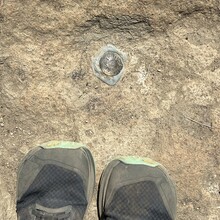 Wendy Drummond - The Sisters