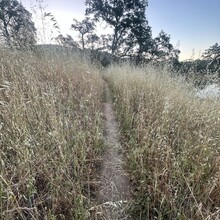 Roland Banas - Folsom Lake Perimeter (trail) (CA)