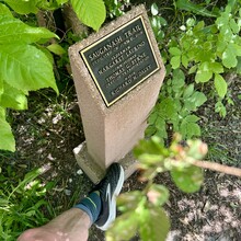 Greg Nance - Sauganash / Valley Line Trail / Skokie Valley Trail (IL)