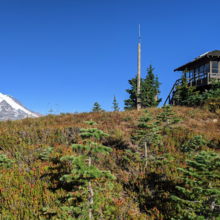 Brian Abrams - Shriner Peak, Mt Rainier Nat'l Park (WA)