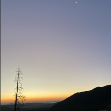 Indigo Wulfhorst - Round Hump (AZ)