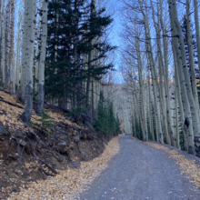 Indigo Wulfhorst - Round Hump (AZ)