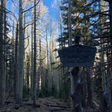 Indigo Wulfhorst - Round Hump (AZ)