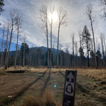 Indigo Wulfhorst - Round Hump (AZ)