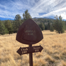 Indigo Wulfhorst - Round Hump (AZ)