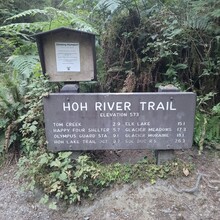 Ryan Eggers - Hoh River Trail to Blue Glacier