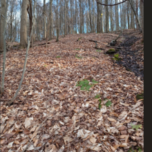 Dean Banko - Lorain/Stoneycreek Hiking Trail (PA)