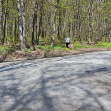 Dean Banko - Upper Canyon Edge to McCune Trail Lollipop (PA)