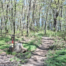 Dean Banko - Upper Canyon Edge to McCune Trail Lollipop (PA)