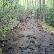 Dean Banko - Pine Knob - Whitetail Trail (PA)