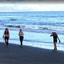 Marion Ollier, Elizabeth Prosser, Cristiana Chen - Bolinas or Bust (CA)