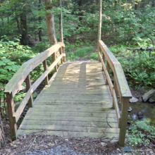 Dean Banko - Trans Allegheny 6-10 Trail (PA)