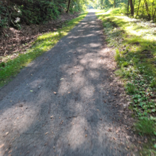 Dean Banko - Trans Allegheny 6-10 Trail (PA)