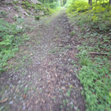 Dean Banko - Trans Allegheny 6-10 Trail (PA)