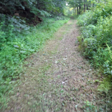 Dean Banko - Trans Allegheny 6-10 Trail (PA)