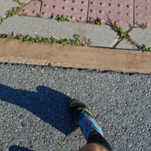 Dean Banko - Trans Allegheny 6-10 Trail (PA)