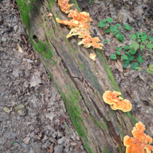 Dean Banko, Shannon Mick - LHHT gate to eight to gate (PA)