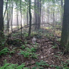 Dean Banko, Bethany Perri - Sugarloaf Trail, uphill then downhill, out and back (PA)